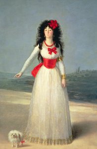 De Hertogin van Alba, 1795 door Francisco de Goya